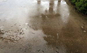 rain on wet concrete reflecting the storms of life
