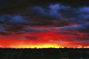 stormy sky with dark bluish gray clouds that turn to red, orange, and god as they approach the horizon and the dark frame of trees at the bottom of the photo
