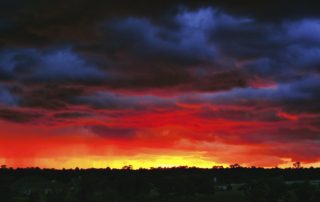 stormy sky with dark bluish gray clouds that turn to red, orange, and god as they approach the horizon and the dark frame of trees at the bottom of the photo