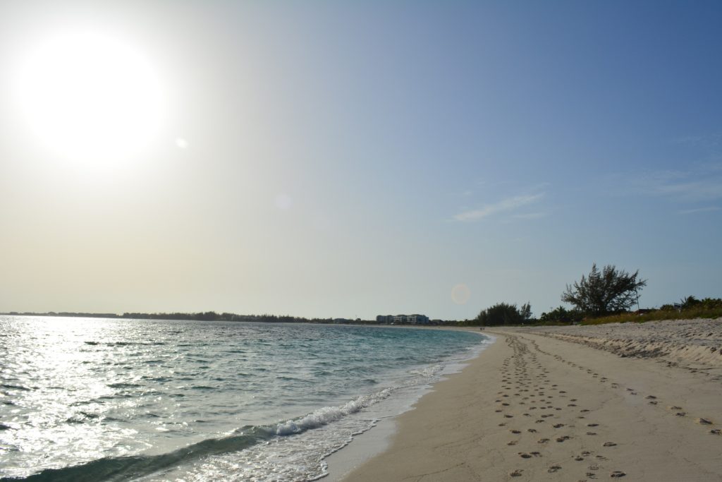 Sunlit beach with gentle waves, sandy shoreline, distant trees, and a clear blue sky.