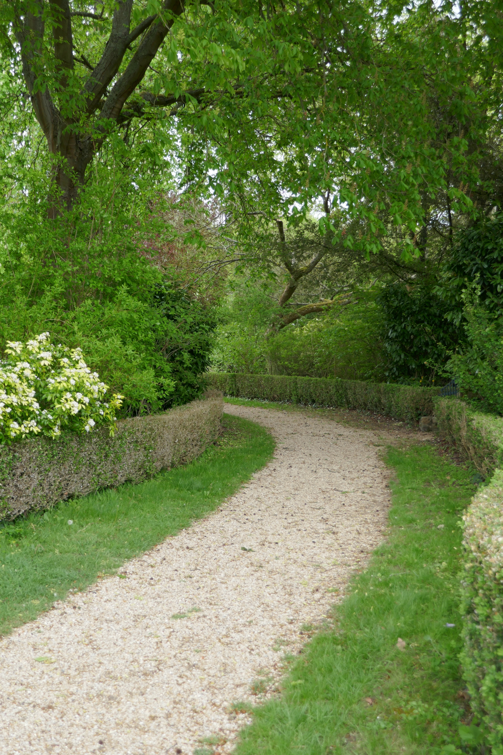 a cobblestone path in the Versailles gardens with trees and flowers-a road less traveled