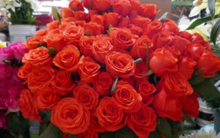 a bunch of red roses in the market-love grows