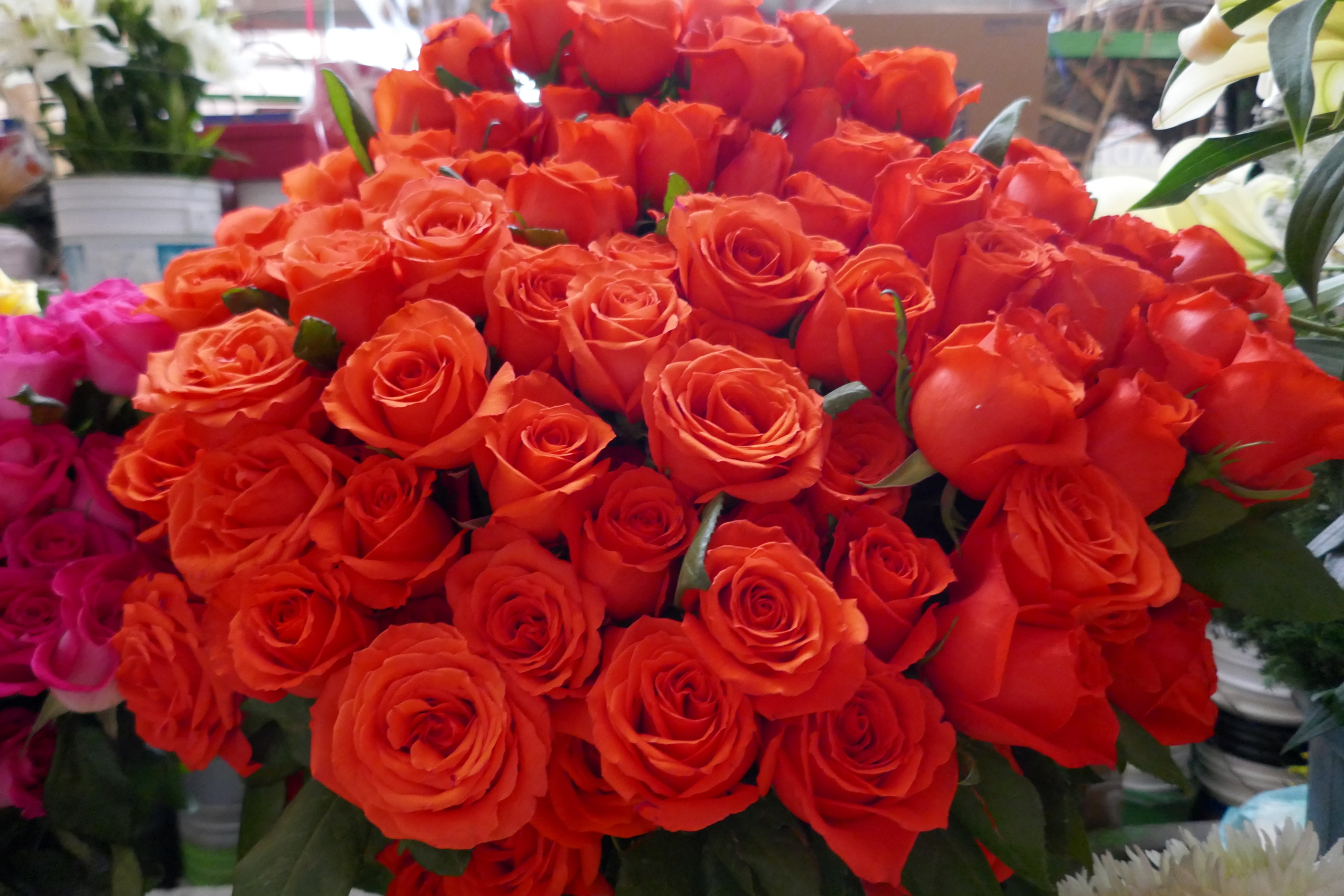 a bunch of red roses in the market-love grows