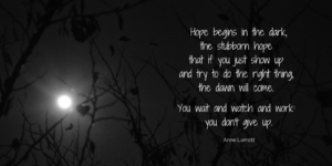 the bright white moon shines against the dark night sky with a quotation from Anne Lanott that hope begins in the dark days