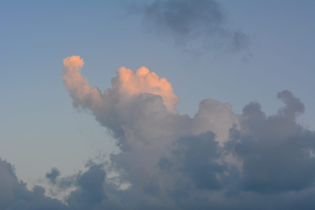 fluffy white and gray clouds show shapes in the wonder of clouds