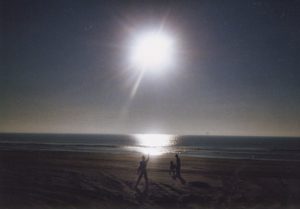 backlit view of two children and a dog on the beach with the sunrise over the ocean and reflecting on the water's surface-healing powers of the ocean