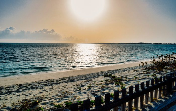 the sun shines brightly over the beach with a wooden picket fence in the forefront -the healing powers of the ocean