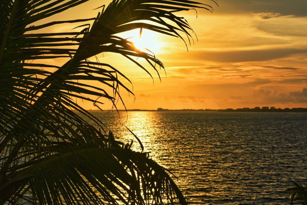 sunset with an orange sky with the sun peeking through palm fronds and reflecting on the dark ocean surface
