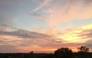 a sunset sky with clouds in colors of peach, pink, and grey with the horizon and tree tops at the bottom of the scene for a quadrille poem