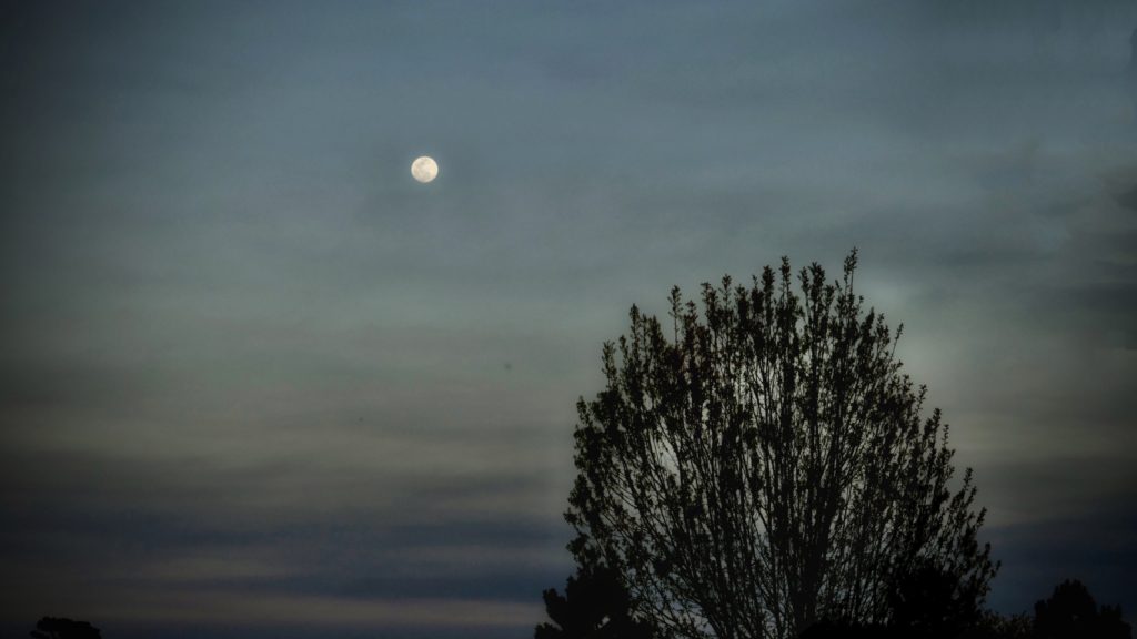 the small white moon shines against a grays blue night sky with clouds and a single tree top on the right-lost words tell a story