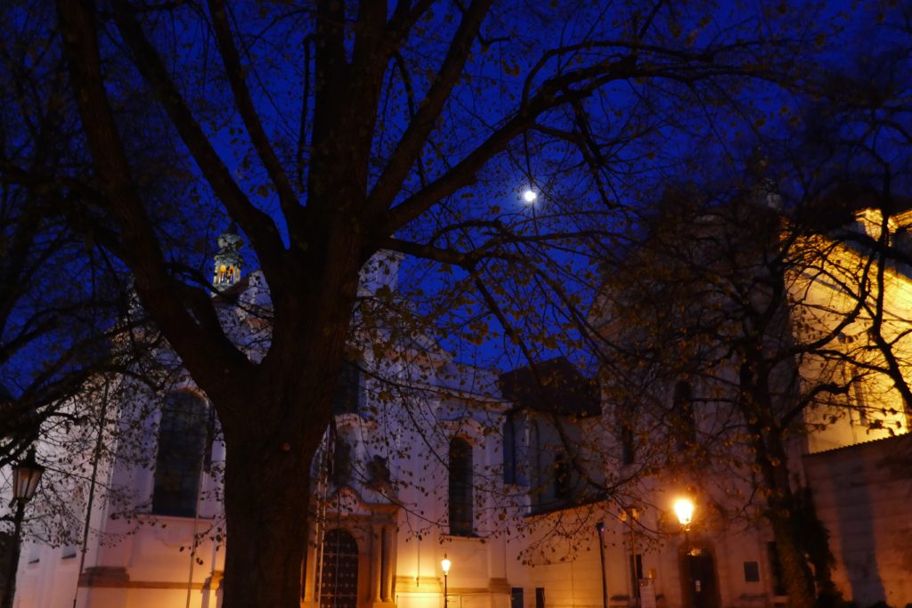 A tree stands in the forefront with stone buildings, peeking behind the limbs against a dark blue sky hangs the full moon like a small beacon