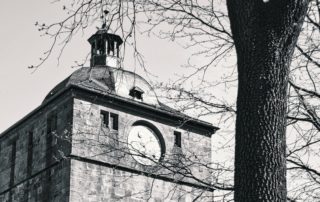 a black and white photograph of the top of a brick building with a clock on one wall, a rounded dome on the top with a steeple; on the right a large tree trunk frames the photo; how do you do nothing with time
