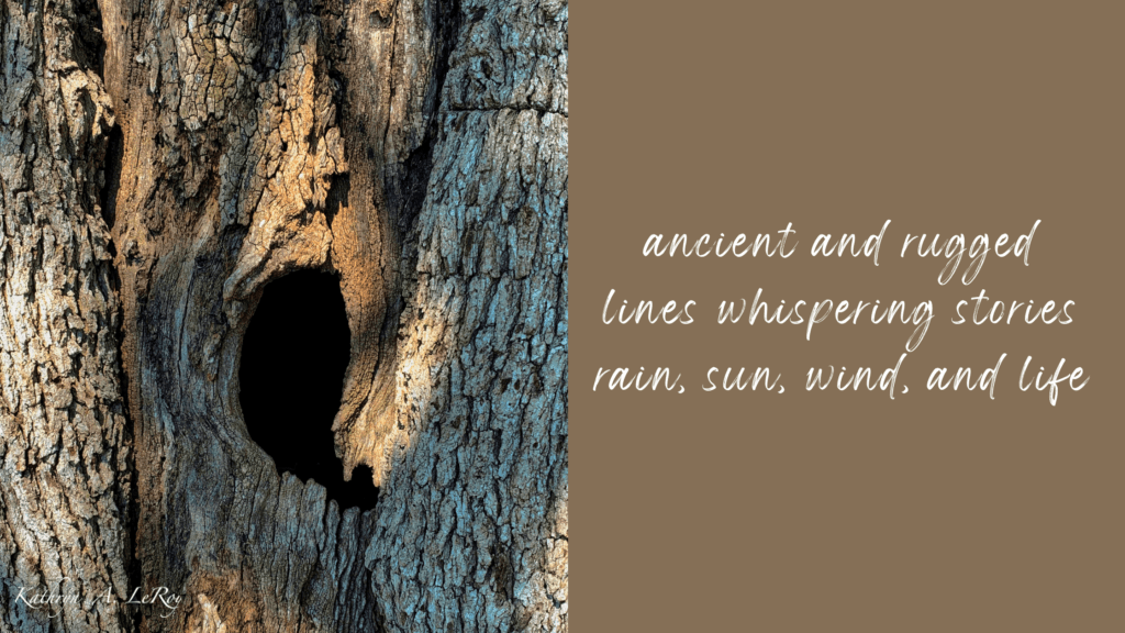 brown background with a haiku and a photo of a tree trunk with a large knothole in the center
