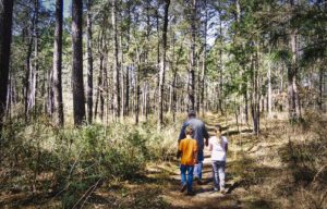 A grandfather, followed by two grandchildren, a girl and a boy, walk down a forest path with dappled light shining through the trees