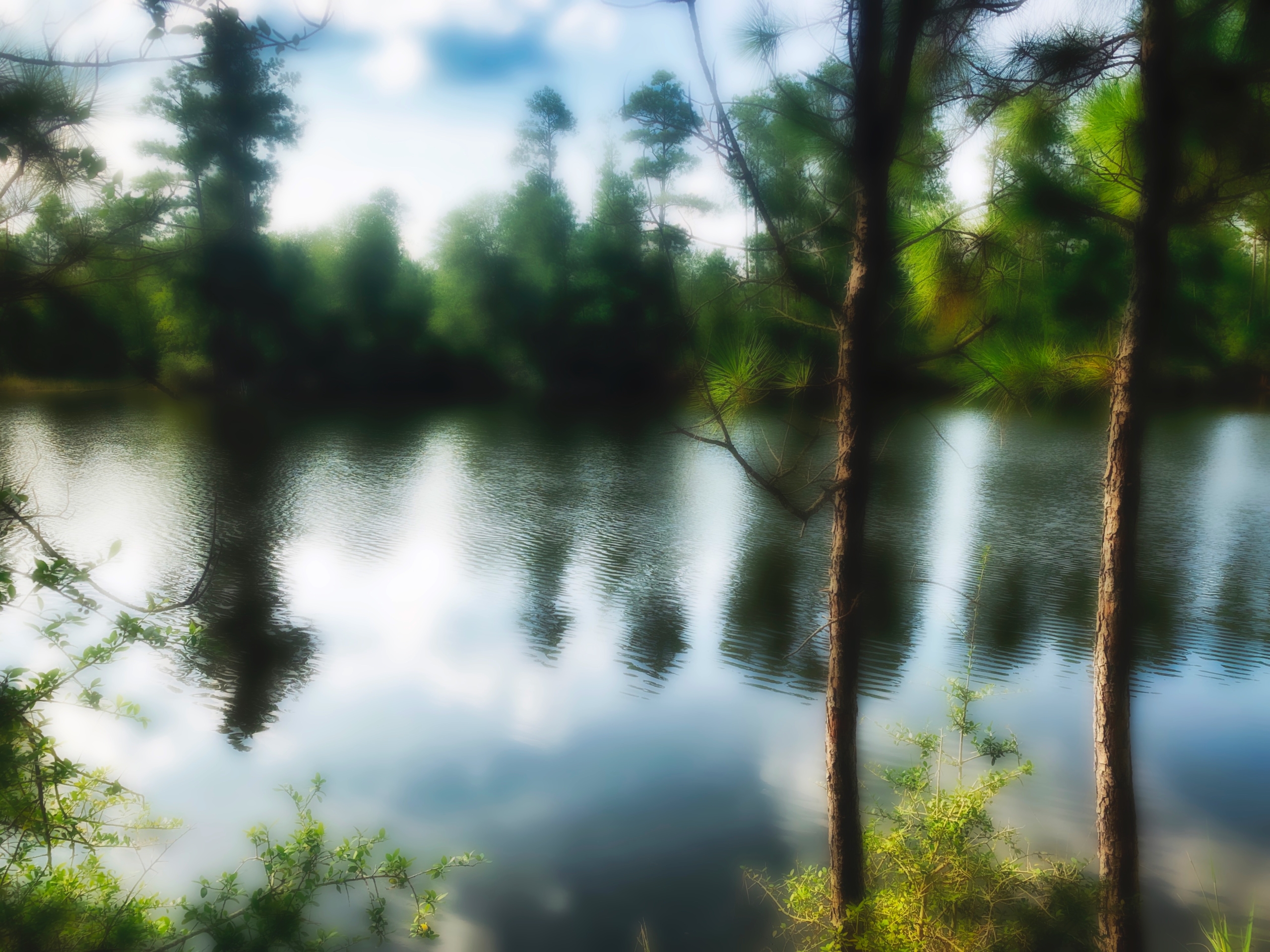 a small pond with the opposite shore of trees reflected in the water and the entire scene slightly blurred and dreamlike