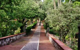 A reddish brick-paved pathway in a park with ashort wall on both sides and tried overhanging the walkway as I wonder, “why do I worry?”