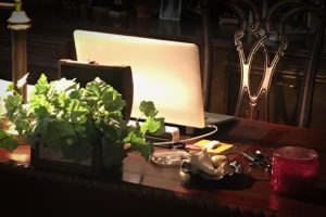 Closeup of a mahogany desk with an open laptop, corner of the lamp, ivy in a decorative box, paper weight, the desk chair
