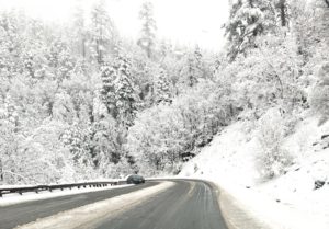 Unexpected Snow in May A winding road through dense, snow-covered trees in a serene winter landscape, with a single car navigating the snowy terrain