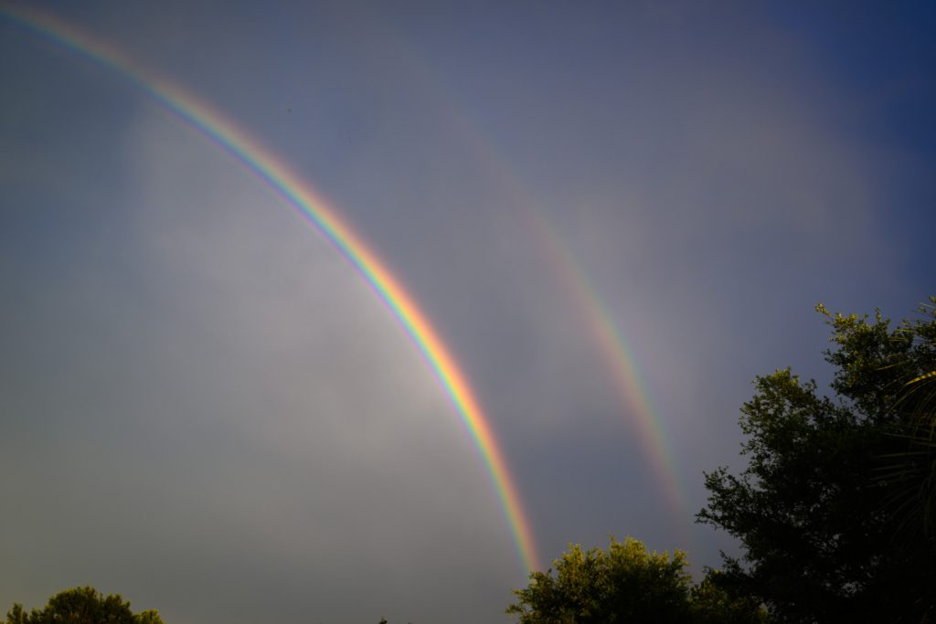 A vibrant double rainbow arches across a cloudy sky, with lush green trees silhouetted at the bottom.