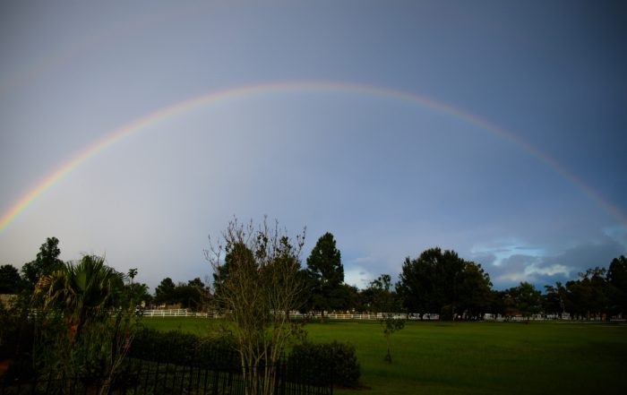 A vibrant rainbow arcs over a lush green field, framed by trees and a white fenced area under a partly cloudy sky.