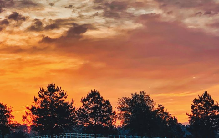 Sunrise 7:16 am © Kathryn LeRoy Vibrant sunrise painting the sky in oranges and pinks, silhouetting trees against a dramatic cloud backdrop. A serene landscape scene.