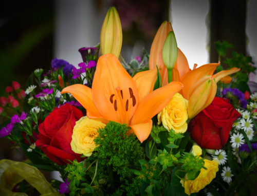 Do You Celebrate Your Birthday?