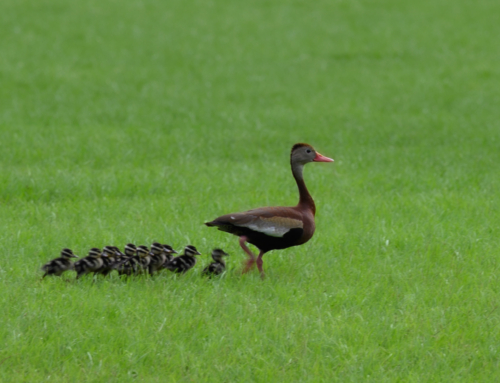 Where’s Your Happy Face?