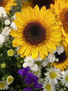 A vibrant sunflower surrounded by delicate white and purple flowers, creating a colorful floral arrangement.