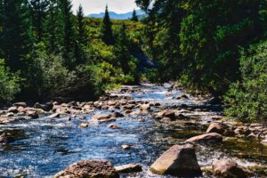A tranquil river flows through a rocky landscape, surrounded by lush green trees and distant mountains under a clear blue sky.