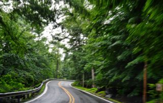 A winding, wet road surrounded by lush green trees, captured with a motion blur effect on a cloudy day.