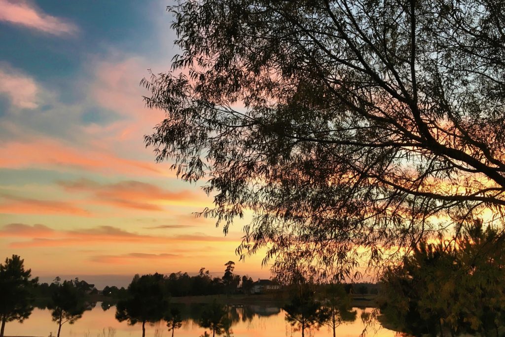 A serene sunset over a calm lake, framed by leafy branches, with pink and orange clouds reflecting in the water.
