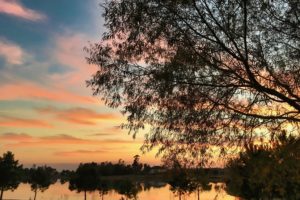 A serene sunset over a calm lake, framed by leafy branches, with pink and orange clouds reflecting in the water.