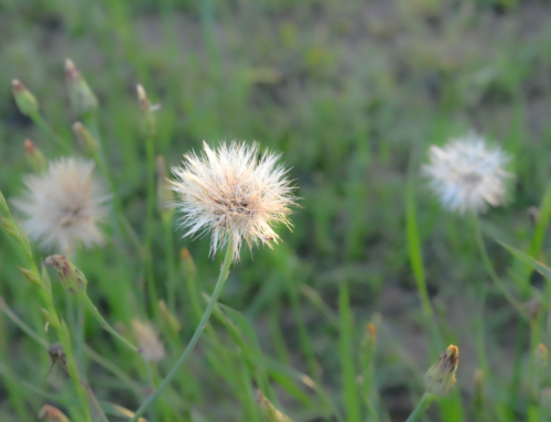 You stand out—but never alone.