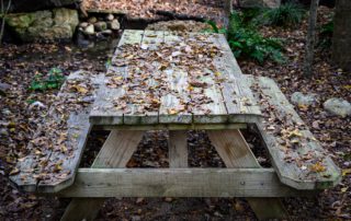 A wooden picnic table covered with autumn leaves, surrounded by a natural setting of fallen leaves and greenery.