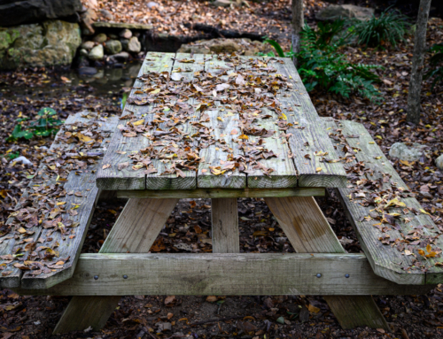 The Best Memories Include Food and Family