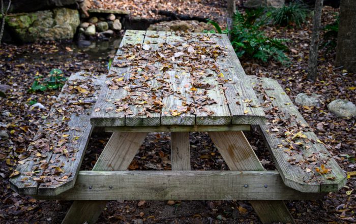A wooden picnic table covered with autumn leaves, surrounded by a natural setting of fallen leaves and greenery.