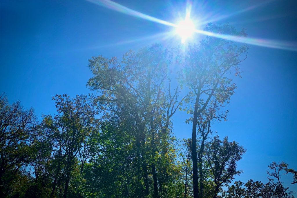 Bright sunburst in a clear blue sky above lush green trees, casting soft light and creating a serene and uplifting mood.