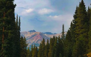 A serene view of tall pine trees framing a distant mountain range under a soft, cloudy sky. Gentle natural colors dominate the scene.