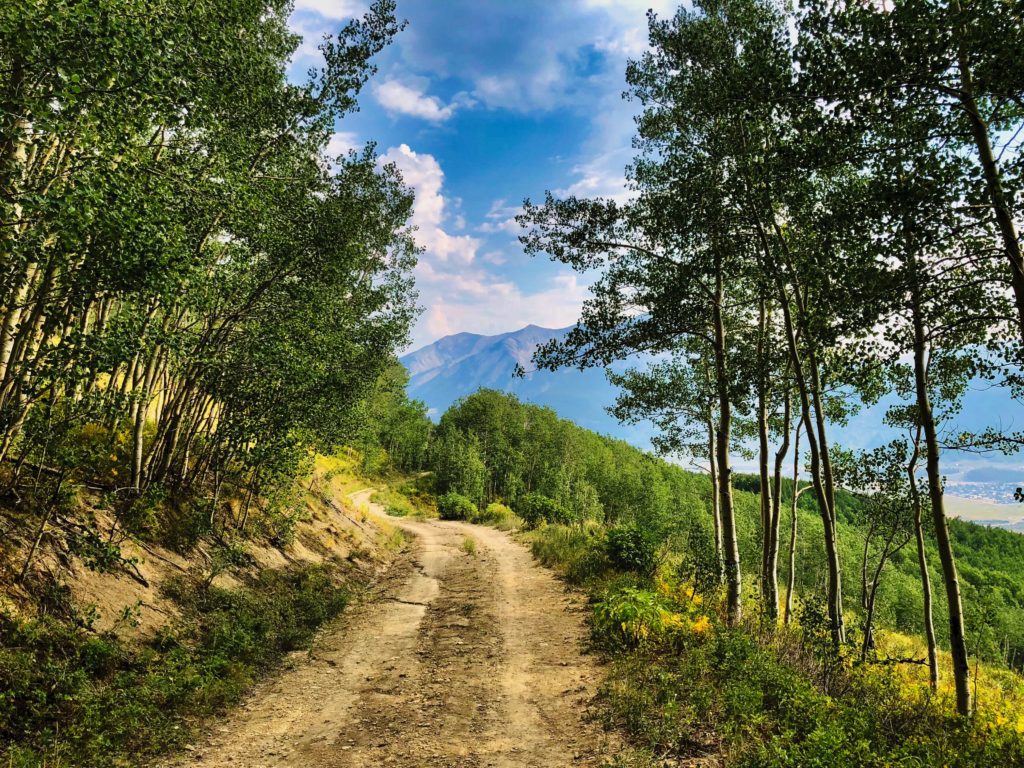 A dirt trail winds through a lush forest of tall, green trees under a bright blue sky with clouds. Distant mountains are visible, creating a serene and inviting scene.