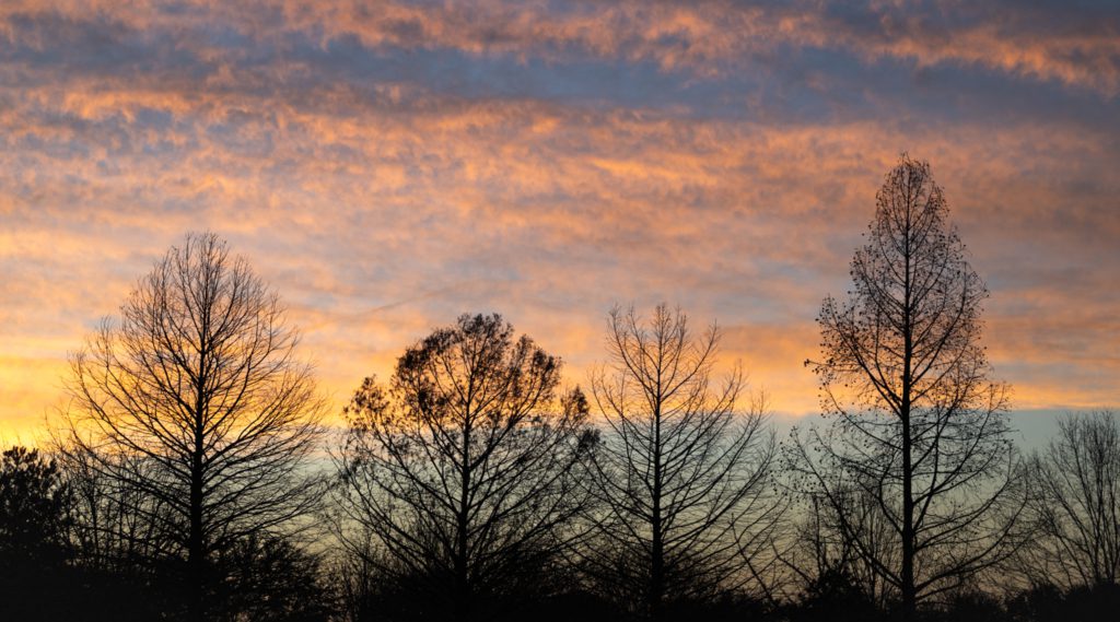 Silhouetted bare trees stand against a vibrant sunset sky, with orange and purple clouds creating a serene and peaceful atmosphere.