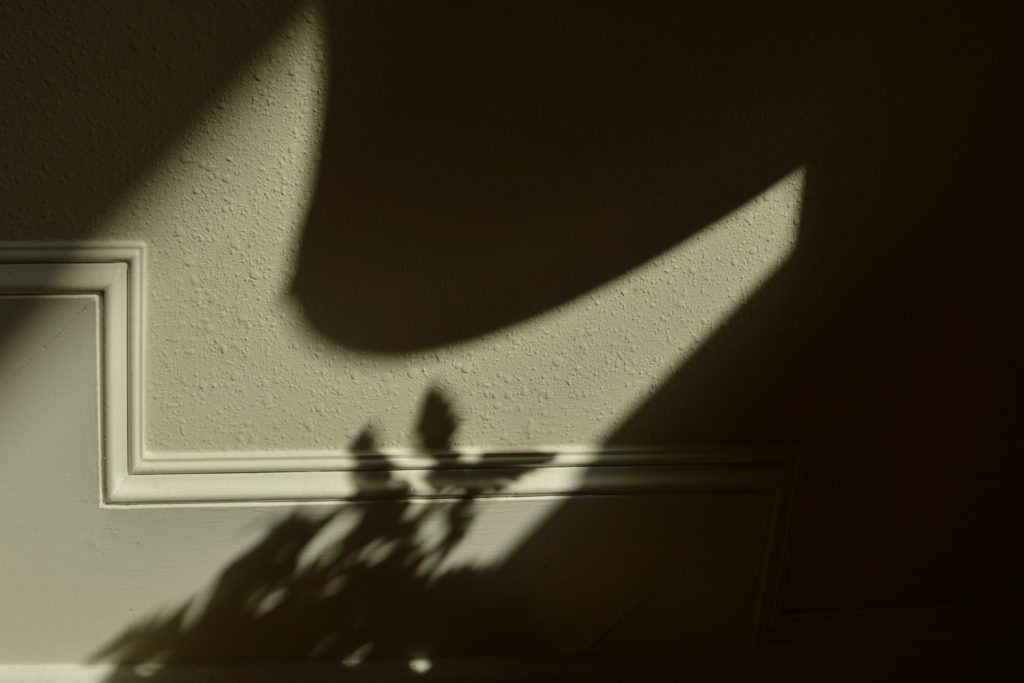 Shadows of leaves cast on a beige textured wall with molding detail, creating a calm and minimalist atmosphere. Soft, warm light highlights the contours.