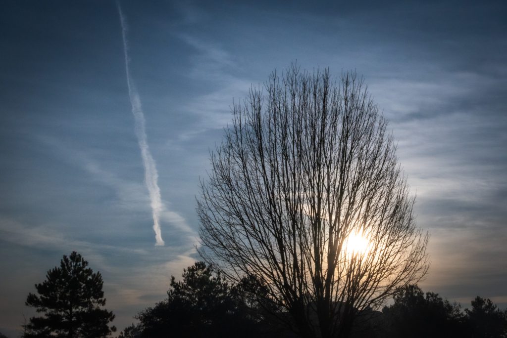 A silhouette of a bare tree against a cloudy sky, with the sun glowing low and a faint vapour trail above.