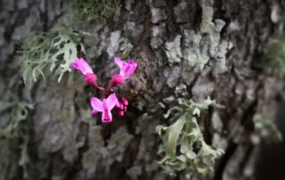 Small Things © Kathryn LeRoy