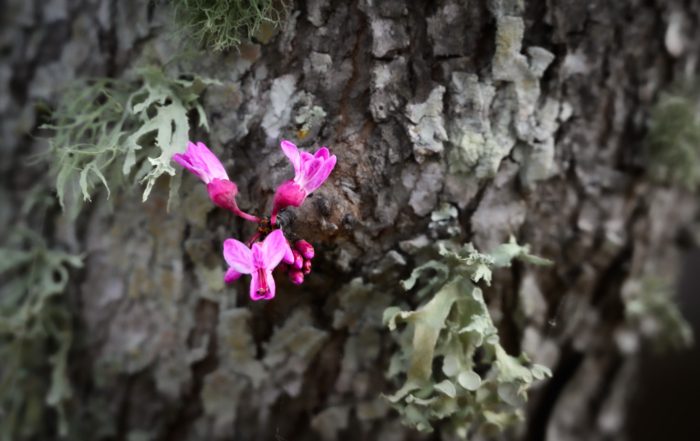 Small Things © Kathryn LeRoy