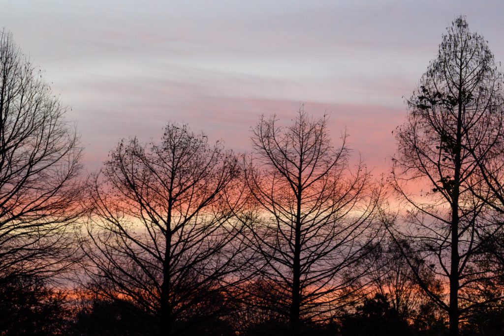 Bare trees are silhouetted against a serene sunset, with the sky displaying hues of pink, orange, and purple, creating a peaceful atmosphere.