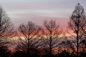 Bare trees are silhouetted against a serene sunset, with the sky displaying hues of pink, orange, and purple, creating a peaceful atmosphere.