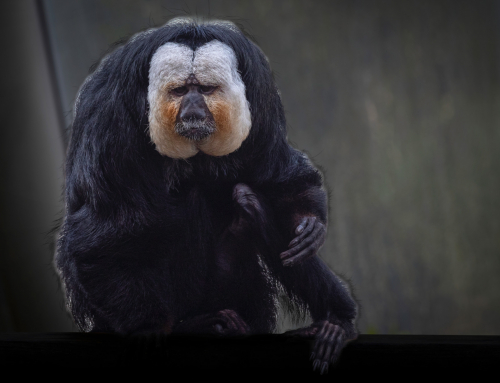 It only takes a sentence.