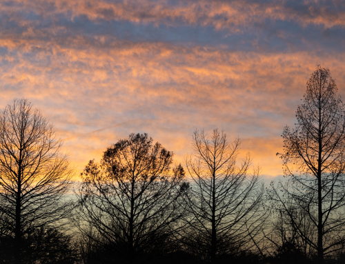 Can We Agree on Just Four Things?