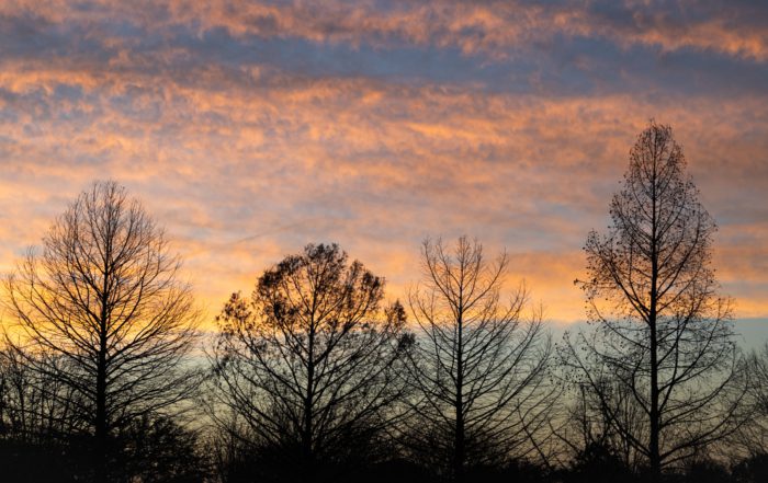 Silhouetted leafless trees against a colorful sunset sky with orange, pink, and blue hues and scattered clouds.