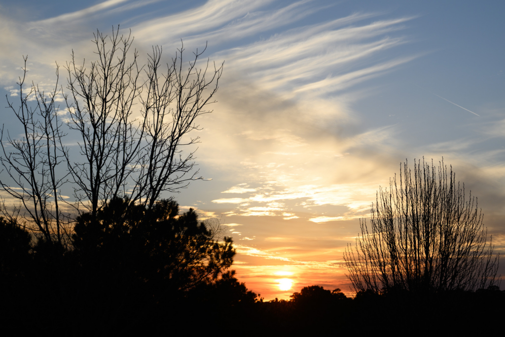 Sunset scene with a glowing orange sun setting behind two silhouetted trees. Wispy clouds streak across the sky, evoking a serene and tranquil atmosphere.